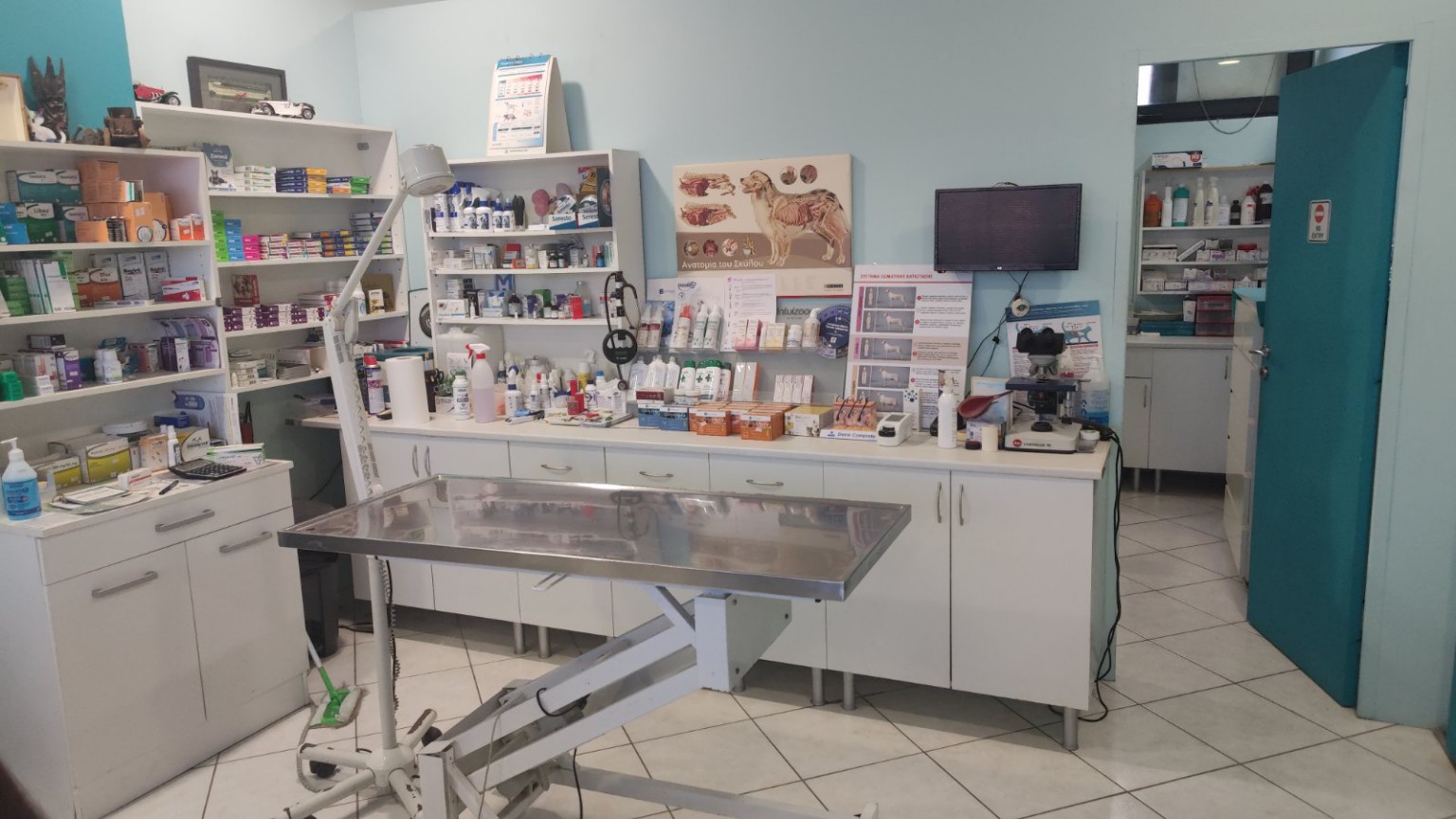 Το πραγματικό εξεταστήριο του κτηνιατρείου