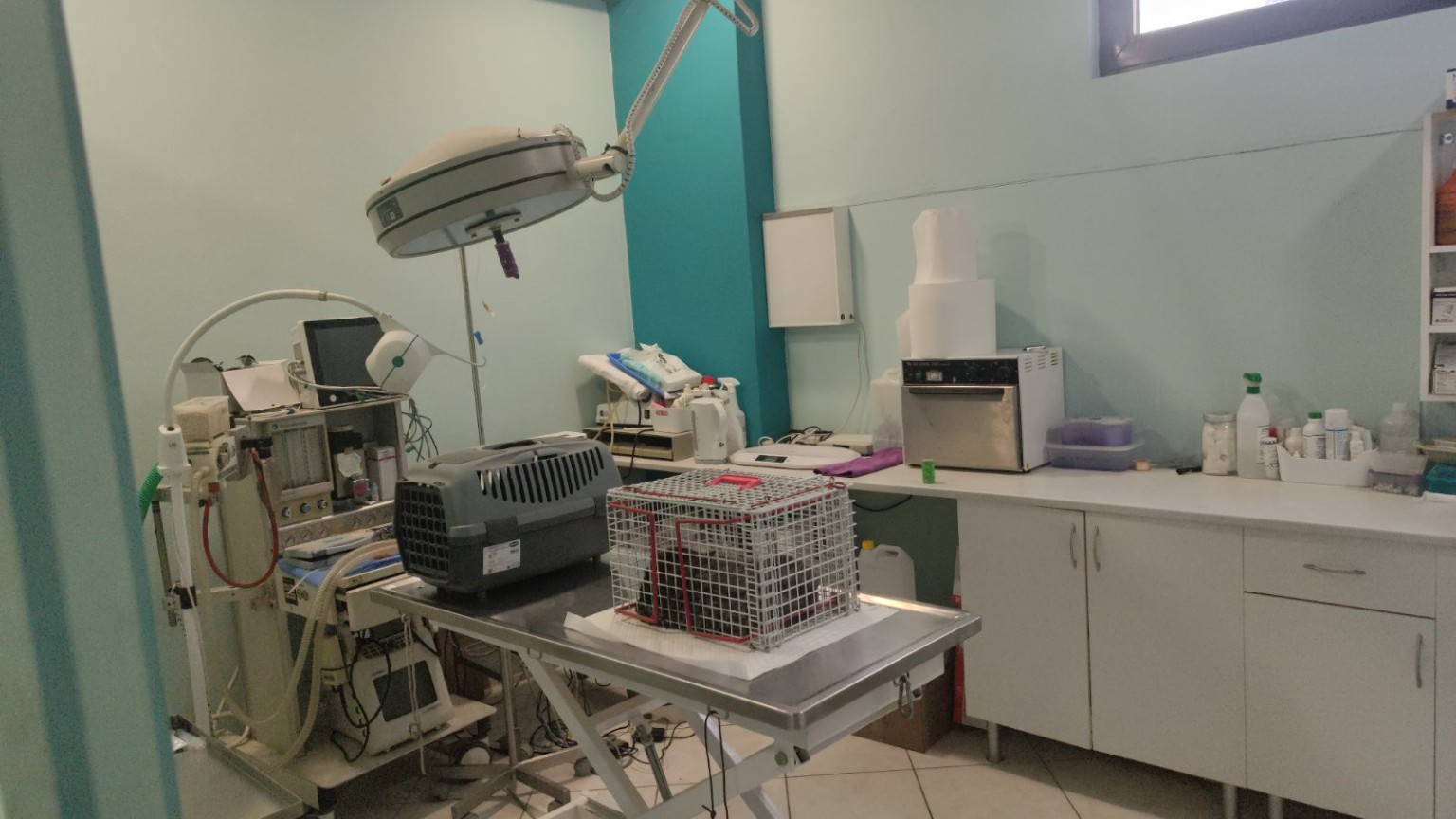 Χειρουργικός χώρος και κτηνιατρικός εξοπλισμός
